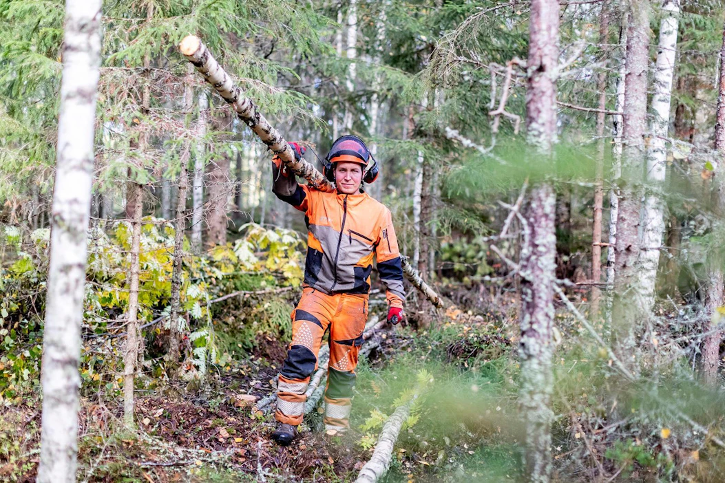 Aku Äijö kerää kaatamiaan energiarankoja metsästä ajouran varrelle pinoihin. Tällä kohteella kuitupuun mitat täyttävää ainespuuta olisi kertynyt niin vähän, että kaikki puu myydään energiaksi.