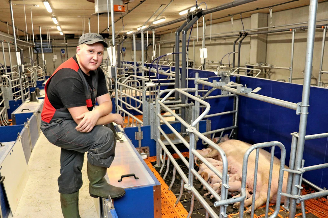 Isokyröläisen Antti Hyppösen yhdistelmäsikalassa on valmiina jo kaksi tällaista vapaaporsitusosastoa, jossa on 20 vapaaporsituskarsinaa. Hyppösen jalan alla on lämpölampulla varustettu porsaspesä, jonka suojana ovat häkkirakenteet.