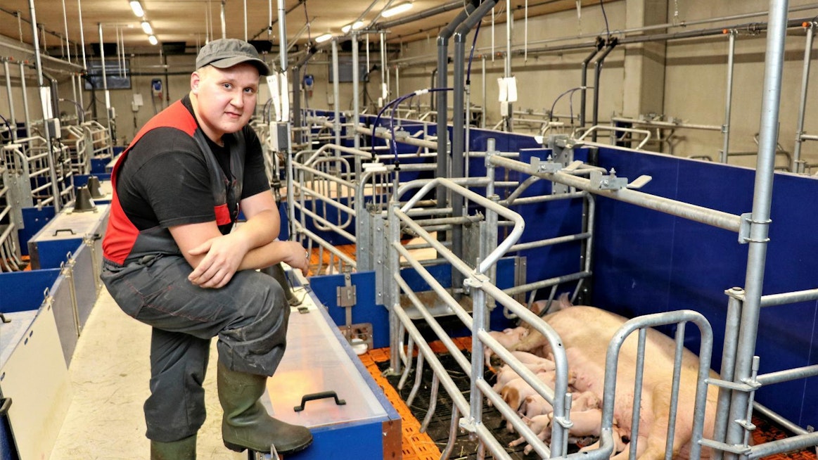Isokyröläisen Antti Hyppösen yhdistelmäsikalassa on valmiina jo kaksi tällaista vapaaporsitusosastoa, jossa on 20 vapaaporsituskarsinaa. Hyppösen jalan alla on lämpölampulla varustettu porsaspesä, jonka suojana ovat häkkirakenteet.