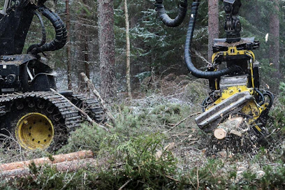 Otso Metsäpalvelut hakeutui yrityssaneeraukseen syyskuussa. Kevään 2019 toimintakertomuksessaan yhtiö arvioi puun tarpeen yhä lisääntyvän ja totesi, että Otson kaltaisille sitoutumattomille toimijoille on kasvava kysyntä.