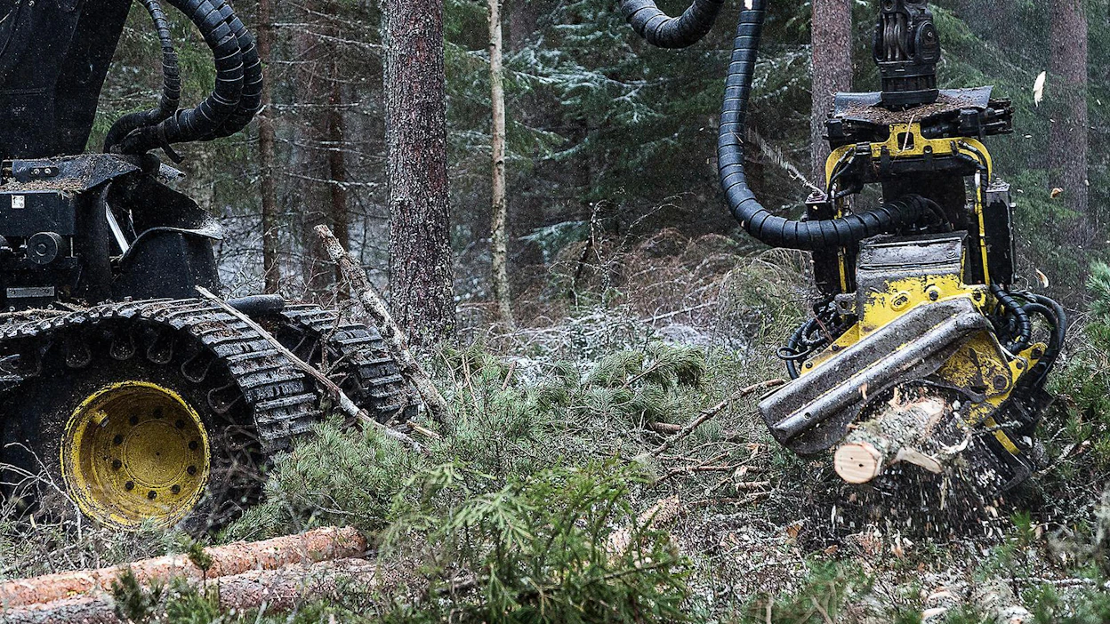 Otso Metsäpalvelut hakeutui yrityssaneeraukseen syyskuussa. Kevään 2019 toimintakertomuksessaan yhtiö arvioi puun tarpeen yhä lisääntyvän ja totesi, että Otson kaltaisille sitoutumattomille toimijoille on kasvava kysyntä.