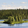 Metsähallitus keskeytti heinäkuussa kalastuslupien myynnin useilla vaelluskalavesillä, kun vesien lämpötila oli noussut jopa yli 21 asteeseen. Kuvassa Iijoki Taivalkoskella. LEHTIKUVA / VESA MOILANEN.