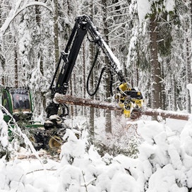 Kuusitukin keskimääräinen kantohinta oli Metsäteollisuus ry:n mukaan viime viikolla 65,46 euroa kuutiometriltä.