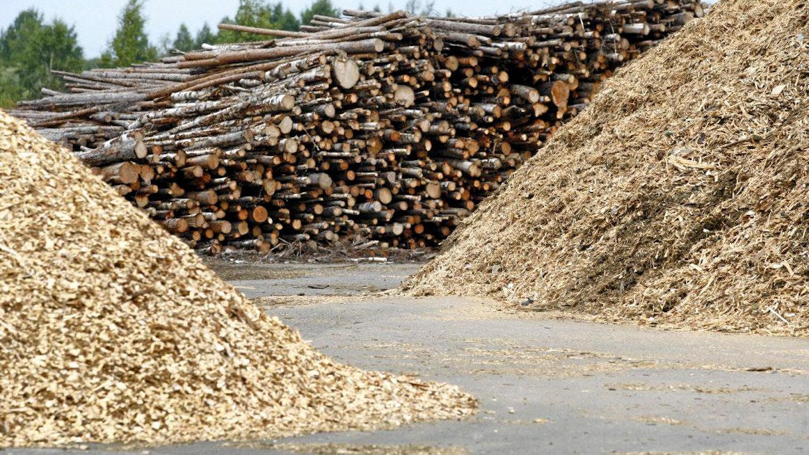 Suomelle puun energiakäytössä on kysymys omavaraisuudesta ja oikeudenmukaisuudesta tilanteessa, jossa hiilellekin on luvassa jatkoaikaa monissa EU-maissa.