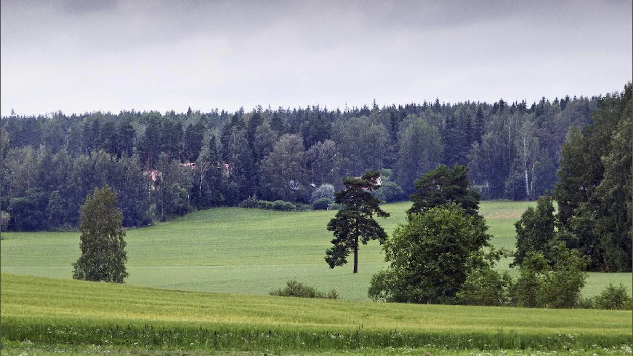 Metsävaltaisissa kunnissa sijaitsevien maatilojen ei tarvitse määritellä ekologista alaa. Muualla vaatimus on viisi prosenttia pinta-alasta, mutta se voi kattaa myös metsien reunoja. Kari Salonen