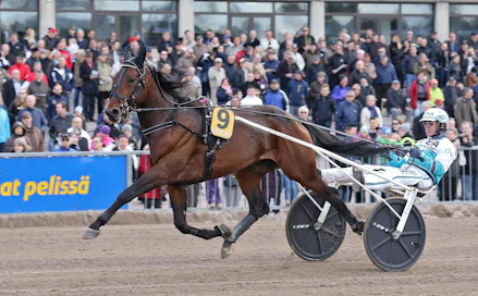 Tässä Vermossa esiintyvä Propulson on Umåkerin T75-pankki. Superori on Pohjanlahden länsipuolella yksinäinen tähti, kun Seinäjoki Race on houkutellut kovan porukan lakeuksille.