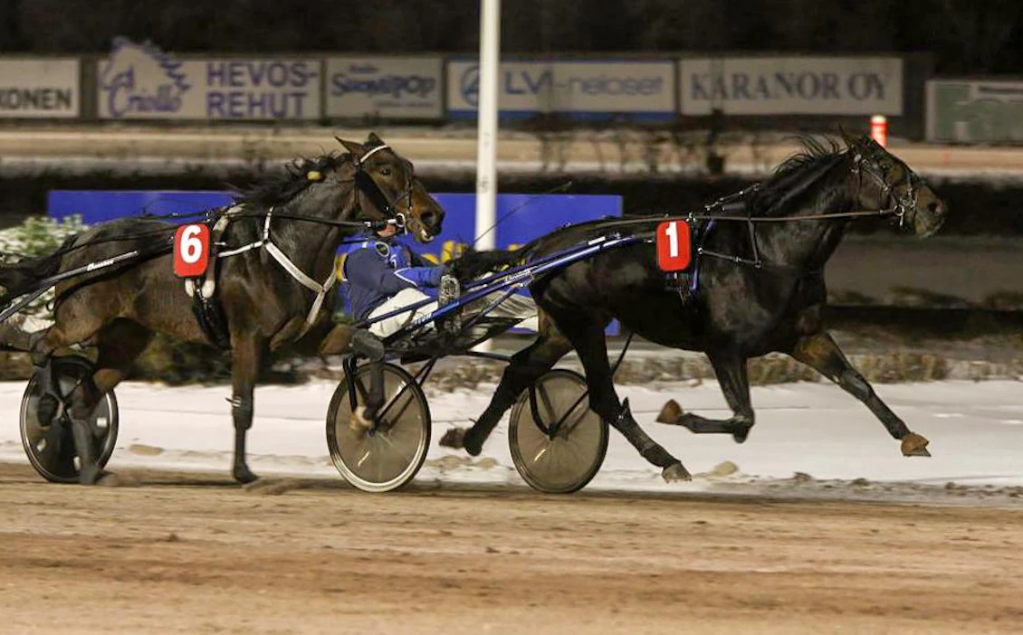 Kautensa avaava Broidi kuuluu Kaviovakion kohteiden seuratuimpiin hevosiin.