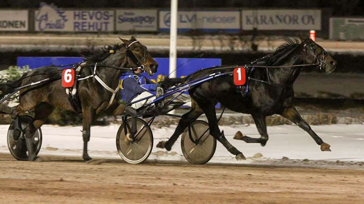 Kautensa avaava Broidi kuuluu Kaviovakion kohteiden seuratuimpiin hevosiin.