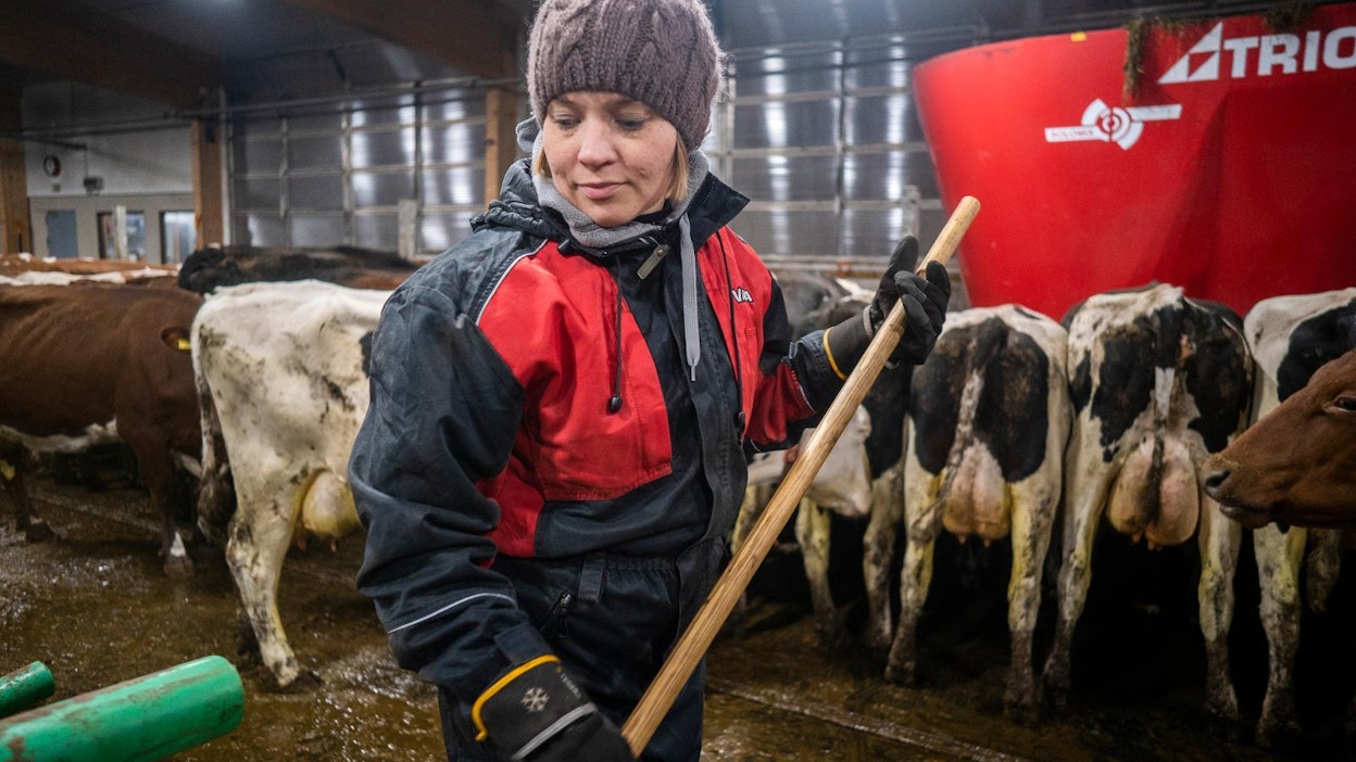Maisa Juntunen on ollut mukana tekemässä vihreiden maatalouspoliittista ohjelmaa.
