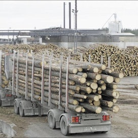 Pohjoissavolainen Keitele Group aikoo rakentaa kesällä uuden liimapuun puristuslinjan. Investointi lisää etenkin kuusen käyttöä. Markku Vuorikari