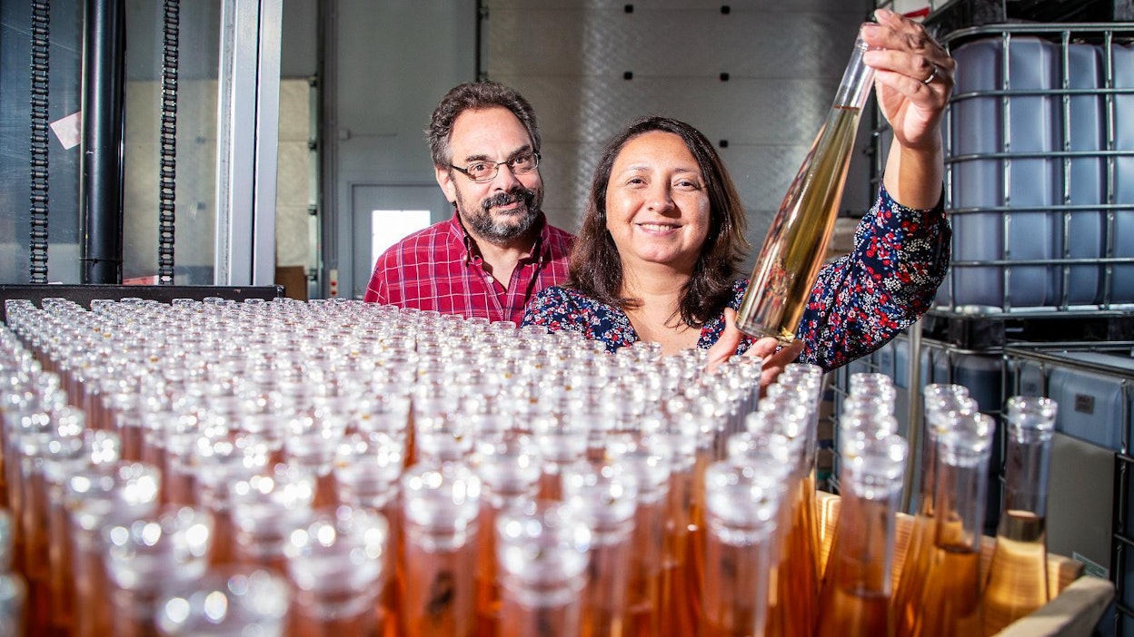 David Cohen ja Paola Guerrero de Cohen korostavat, että parhaat viinit syntyvät vain parhaista raaka-aineista ja niitä Suomen luonto tarjoaa.