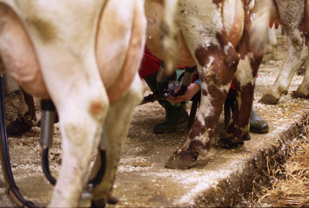 Suomalaiset ovat aiempaa tyytyväisempi