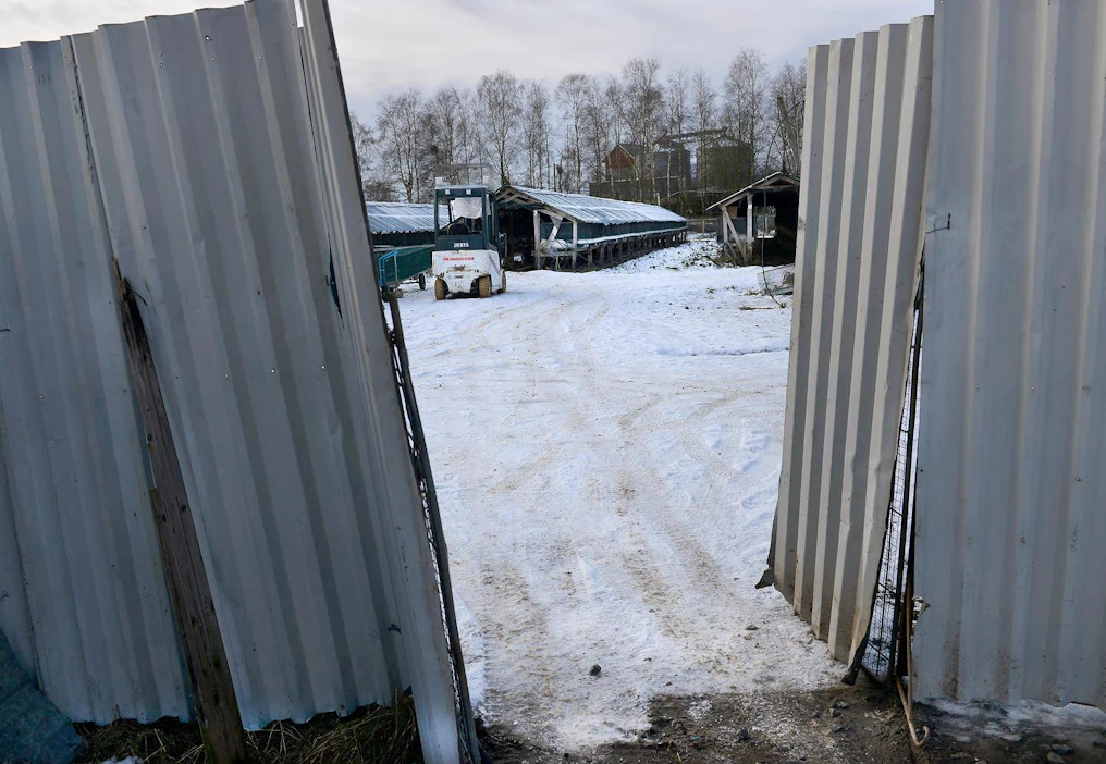 JP Turkis Oy:n tarha sijaitsee Kokkolan Vitsarissa. Kuva on otettu tammikuussa.