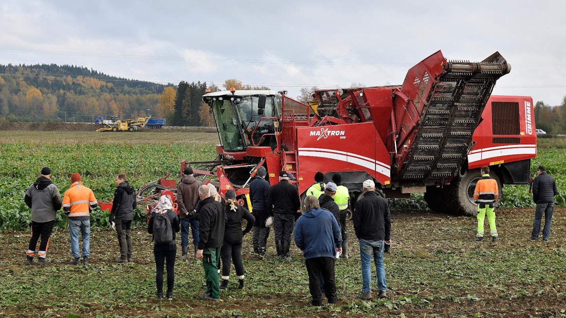 Hämeenlinnan Lammilla sokerijuurikasta nostettiin komeasti kolmen erilaisen nostokoneen voimin. Kuvassa Grimme Maxtron 620 -nostokone. Tapahtuma veti väkeä, sillä kävijöitä oli lähes 300.