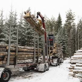 Metsäyhtiöt ovat ajaneet puita tehdas- ja välivarastoihin kelirikon varalta.