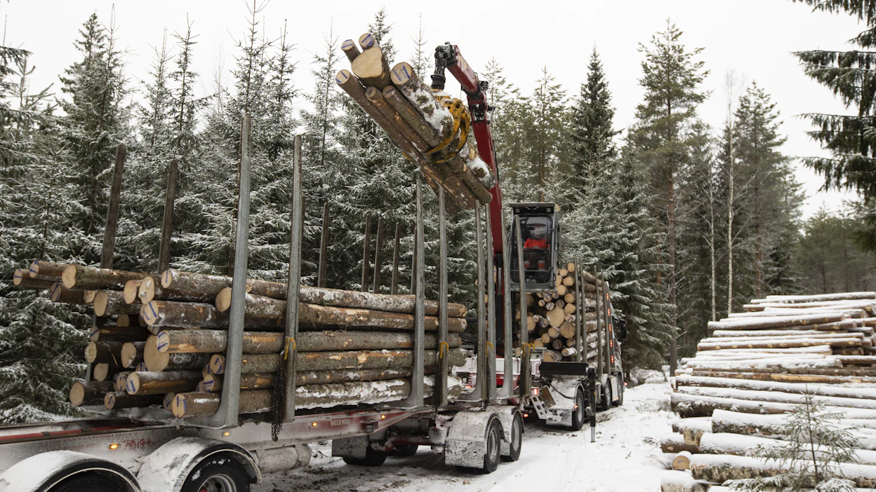 Metsäteollisuus muistutti hakkuurajoituksista aiheutuvista miljardien eurojen kustannuksista.