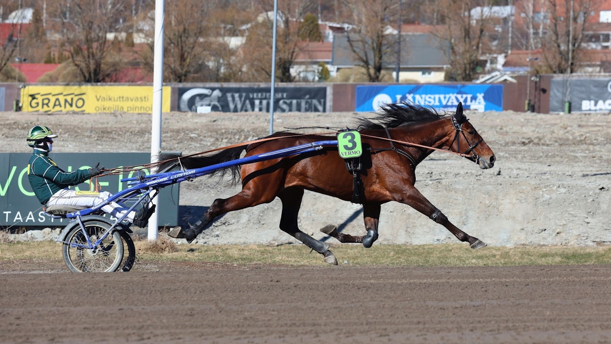 Massimo Hoist valmistautumassa voitokkaaseen Helsinki-ajoon viikko sitten.