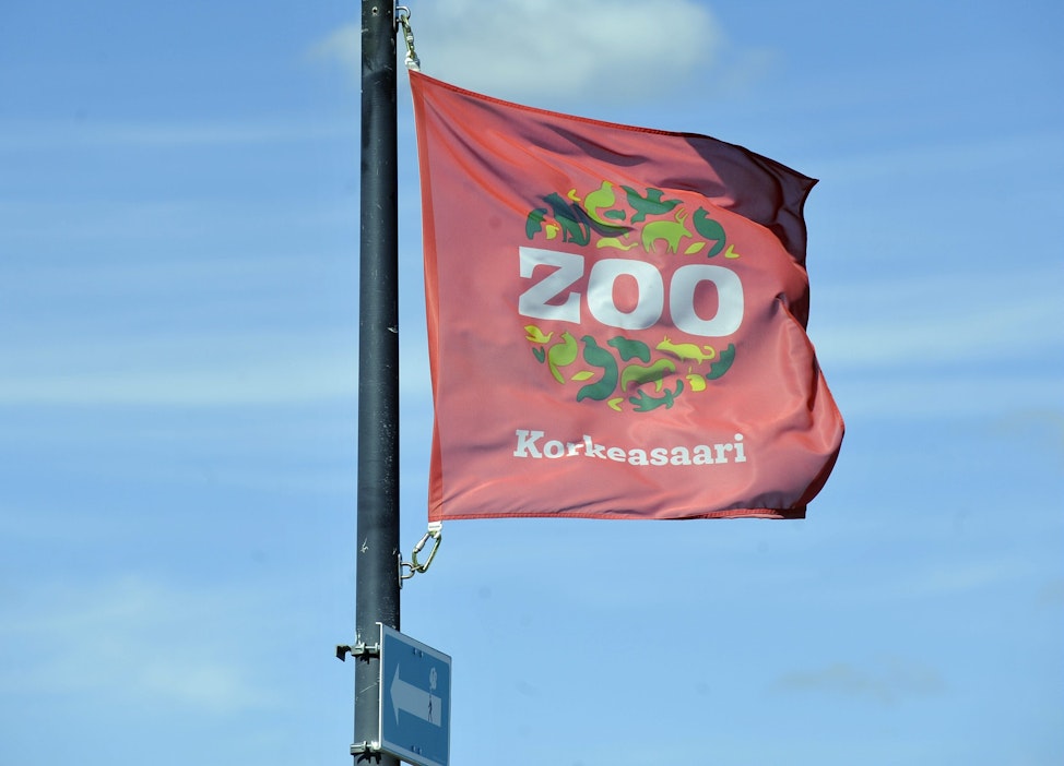 Pedron katoaminen huomattiin Korkeasaaressa heinäkuun alussa. LEHTIKUVA / TIMO JAAKONAHO.