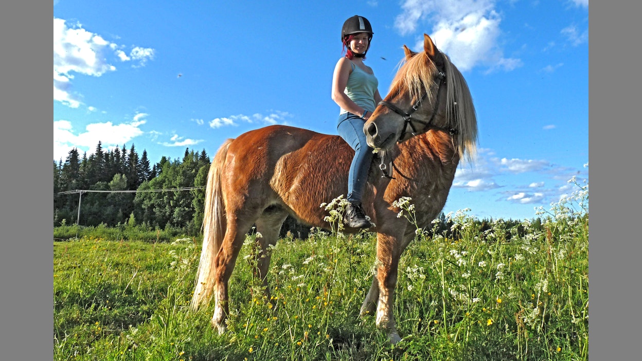 Hevosten hyvinvointitutkimus on Taru Niittysen intohimoprojekti. Kuvassa hän on edesmenneen suomenhevostammansa Lillin selässä.