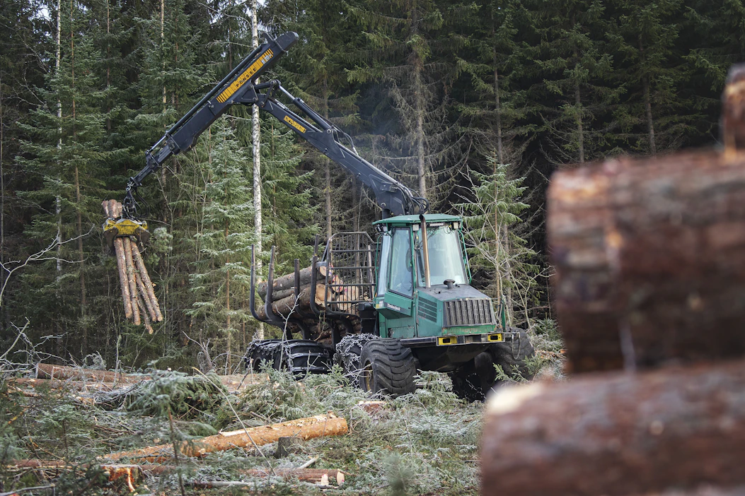 Havukuitupuiden keskikantohinnat ovat nyt 15‒16 prosenttia korkeammat kuin vuoden alussa.