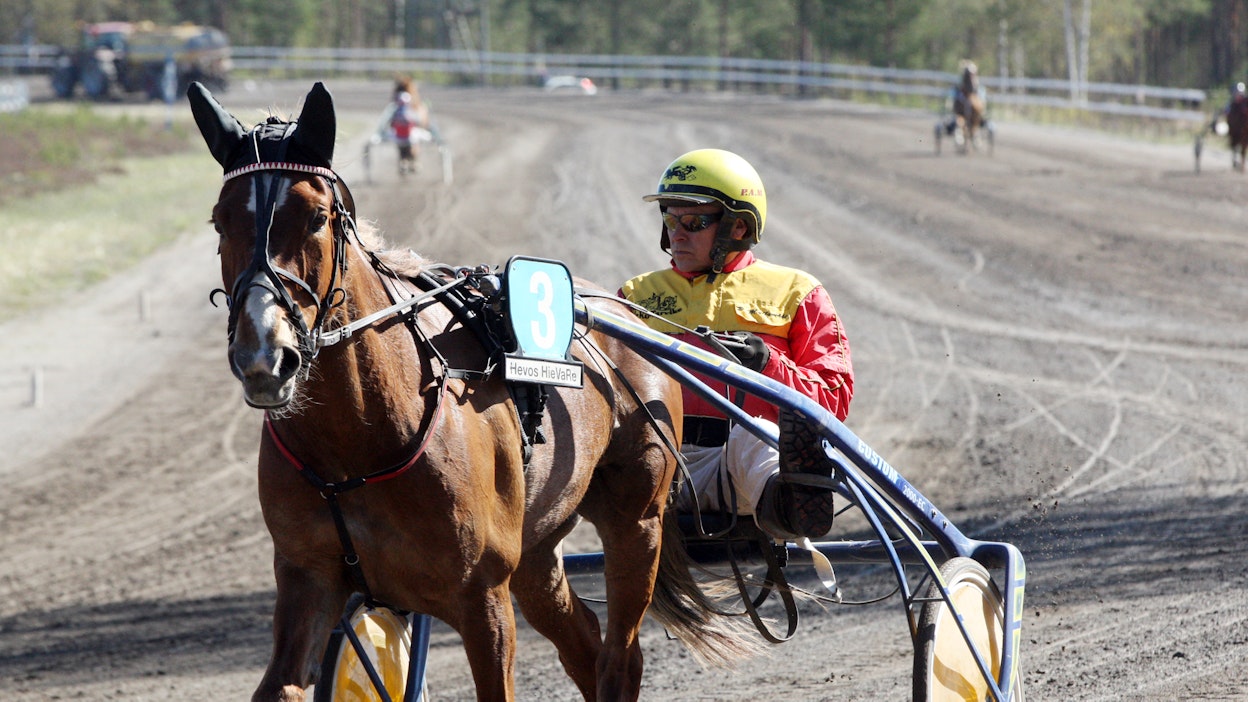Petri Myllymäen Humu-Liisa on juossut 233 kilpailua.