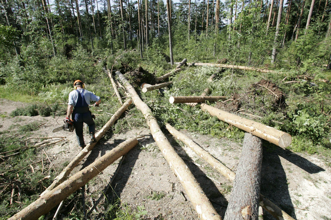 ”Suomalaisuus on muutakin kuin suon kuokkimista ja pöllien parkkuuta”, kirjoittaa Teemu Keskisarja.