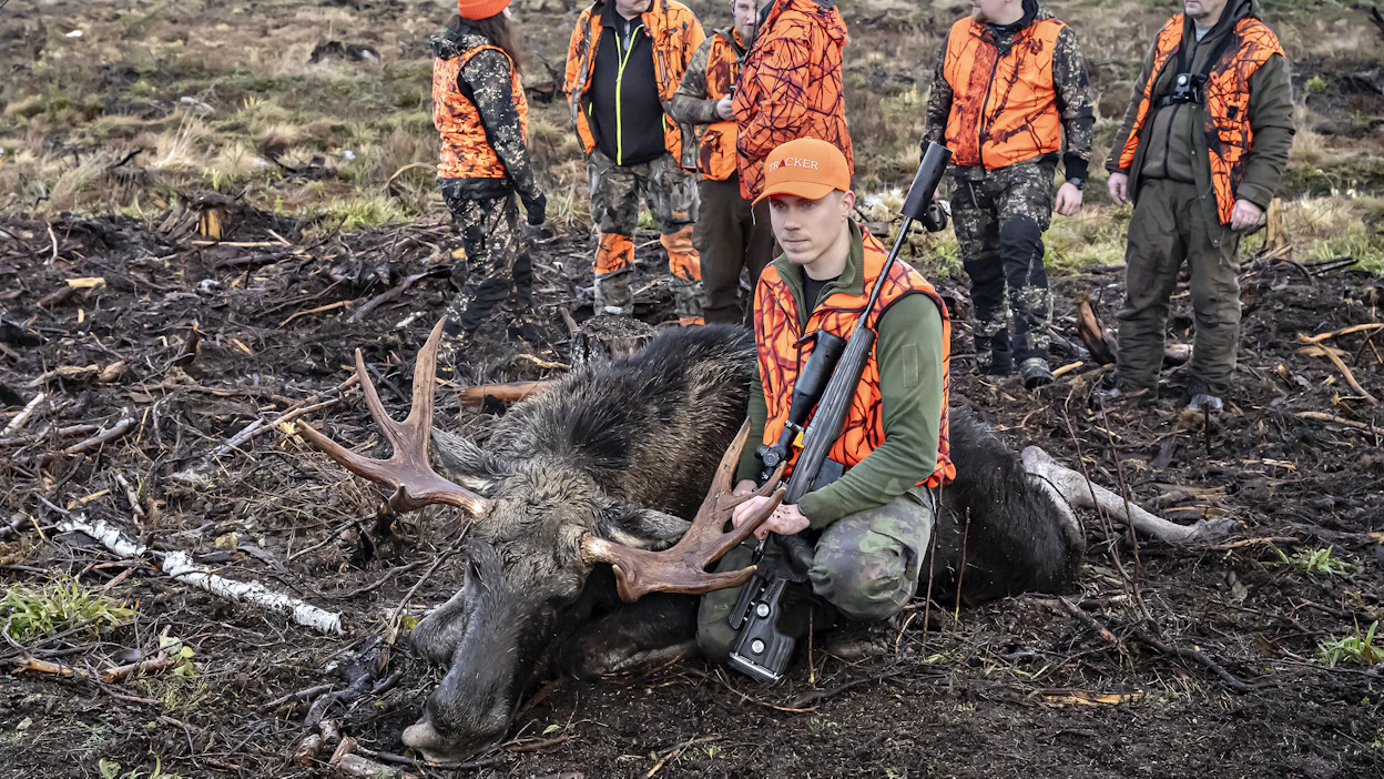 Kalle Kiviniemi sai ensimmäisen hirvikaatonsa Metsästäjälliiton nuorille suunnatussa jahdissa.