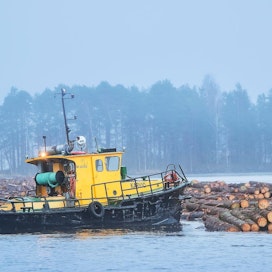 Huhtikuun lopulla alkaneen uittokauden viimeistä lauttaa hinataan kohti UPM:n tehtaita Mikkeliin ja Lappeenrantaan. Uittopojat Oy:n miehistö kokosi lauttaa Taipaleen kanavan jälkeen Varkaudessa maanantaina.
