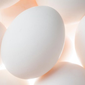 Rehujen hinnannousu kiristää kananmunantuottajan taloutta.