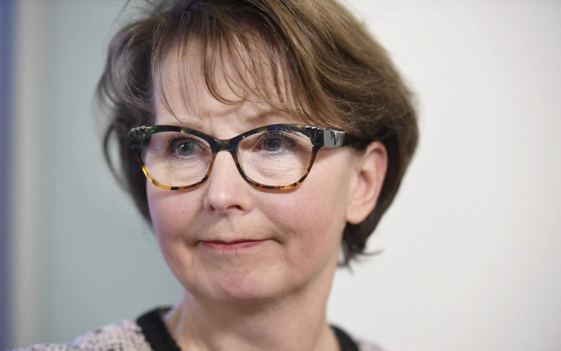 Valtakunnansyyttäjä Raija Toiviaisen mielestä Juha Mäenpään esittämä mielipide ei ollut millään tavoin tulkinnanvaraine.