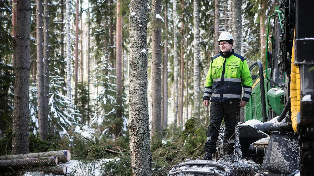 Lapinjärven geenireservimetsän hakkuutyöt alkoivat pari viikkoa sitten. "Kovien pakkasten ansiosta korjuuolot ovat olleet erinomaiset Etelä-Suomessa", sanoo Metsäkonepalvelu Oy:n Pekka Ikäheimo.