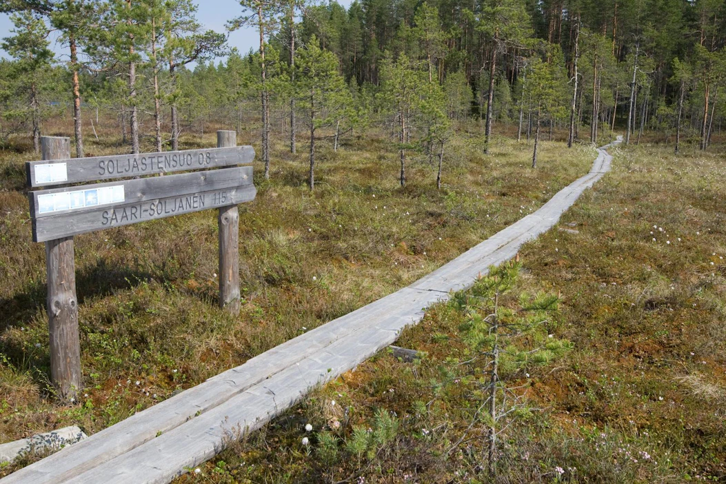 Valtion retkeilyalueiden ja kansallispuistojen pitkospuiden ylläpidosta vastaa Metsähallituksen luontopalvelut. Kuva on Seitsemisen kansallispuistosta.