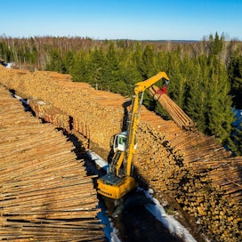 Vuonna 2019 hakkuut ja niistä kertyneet kantorahatulot metsänomistajille laskivat merkittävästi edellisvuodesta. Kuvassa kuormattiin puuta terminaalista puutavara-autoon Pielavedellä huhtikuussa 2019.