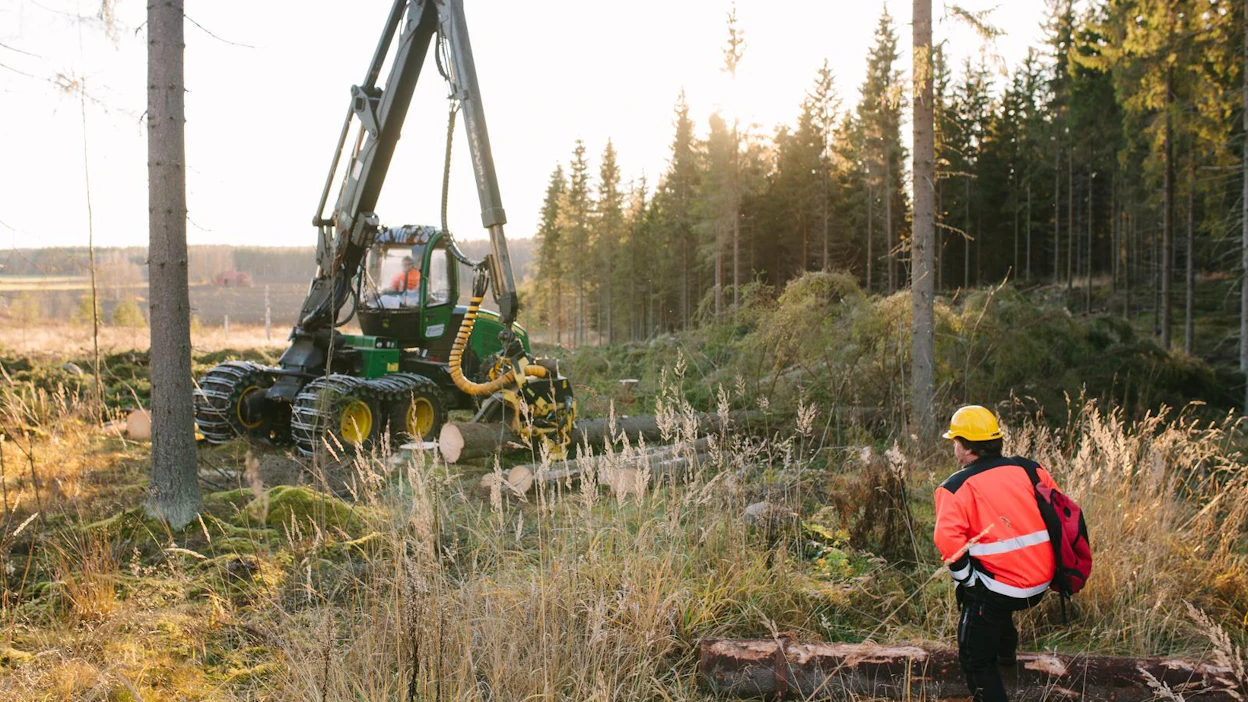 Metsäkoneenkuljettajaksi Ruokolahdella opiskeleva Juuso Torikka harjoittelee leimikossa Parikkalan Särkisalmella. Pasi Pakkanen valvoo. Leimikosta on yli 350 kilometriä koulutuksen hallintopaikkakunnalle Tampereelle.