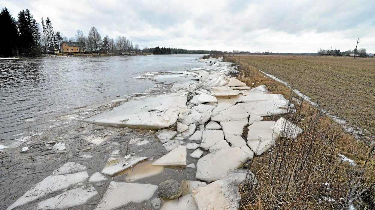 Jussi Joki-Erkkilä Kalajoen Käännänkylältä esitteli tulvivaa Kalajokea lauantaina 28.12.2013. Joki pysyi kuitenkin lähes uomissaan vaikka tulvahuippua päivälle ennustettiin.