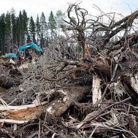 Metsänhoitosuosituksissa kehotetaan rajoittamaan kantojen nostoa, joten kantojen energiakäyttö on vähentynyt merkittävästi. Järeää puuta päätyy polttoon muun muassa luonnontuhojen seurauksena.