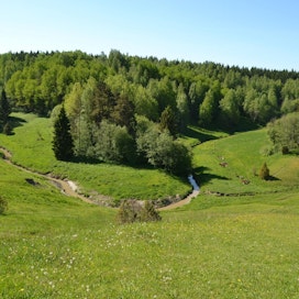 Keski-Euroopan vehreät alppiniityt mieleen tuova Someron Häntälän notkojen alue on huippuluokan perinnemaisemakohde.