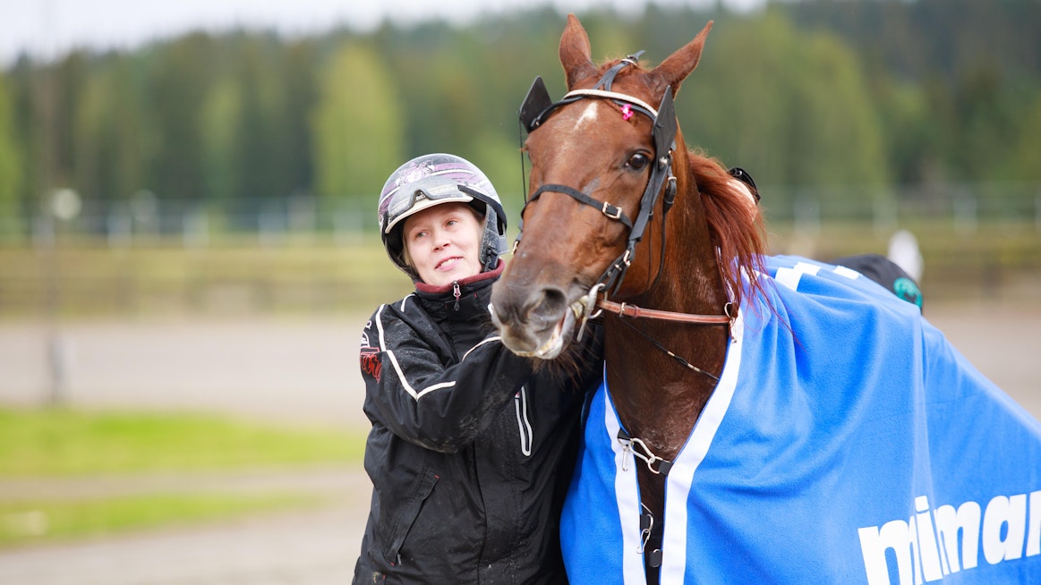 Majestic Man on yksi kotimaan toivoista Finlandia-ajoon. ”Taisto” on Jonna Irrin ja Taneli Säteen silmäterä. Ruunan tarina orpovarsasta kansainvälisen tason ravuriksi on kuin Hollywoodin käsikirjoittajan kynästä.