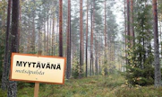 MT kertoi jo viime keväänä, miten suuret institutionaaliset sijoittajat kahmivat veroedun turvin entistä suuremman osan myyntiin tulevista metsätiloista.