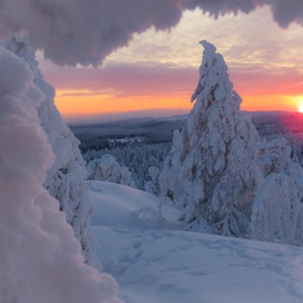 Lumiset maisemat ovat nyt parhaimmillaan Sotkamossa. Kuvan otti Anne Lukkari.