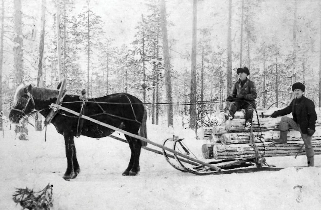 Ilomantsin Museosäätiö Enso-Gutzeit Oy:n savotan hevosmiehiä Ilomantsin Vieksjärvellä 1920-luvulla.