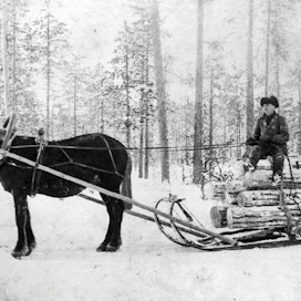 Ilomantsin Museosäätiö Enso-Gutzeit Oy:n savotan hevosmiehiä Ilomantsin Vieksjärvellä 1920-luvulla.