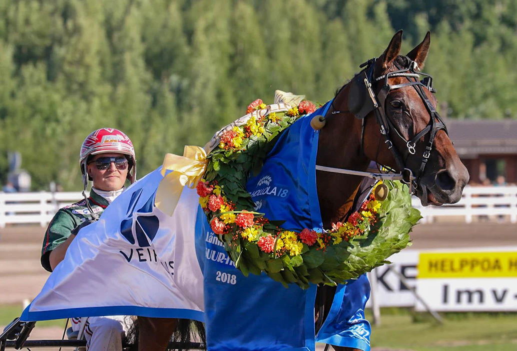Suur-Hollola-ajon sankaritar Ranch Kelly on lähdössä ensi viikolla tammojen Euroopan mestaruuteen Solvallaan.