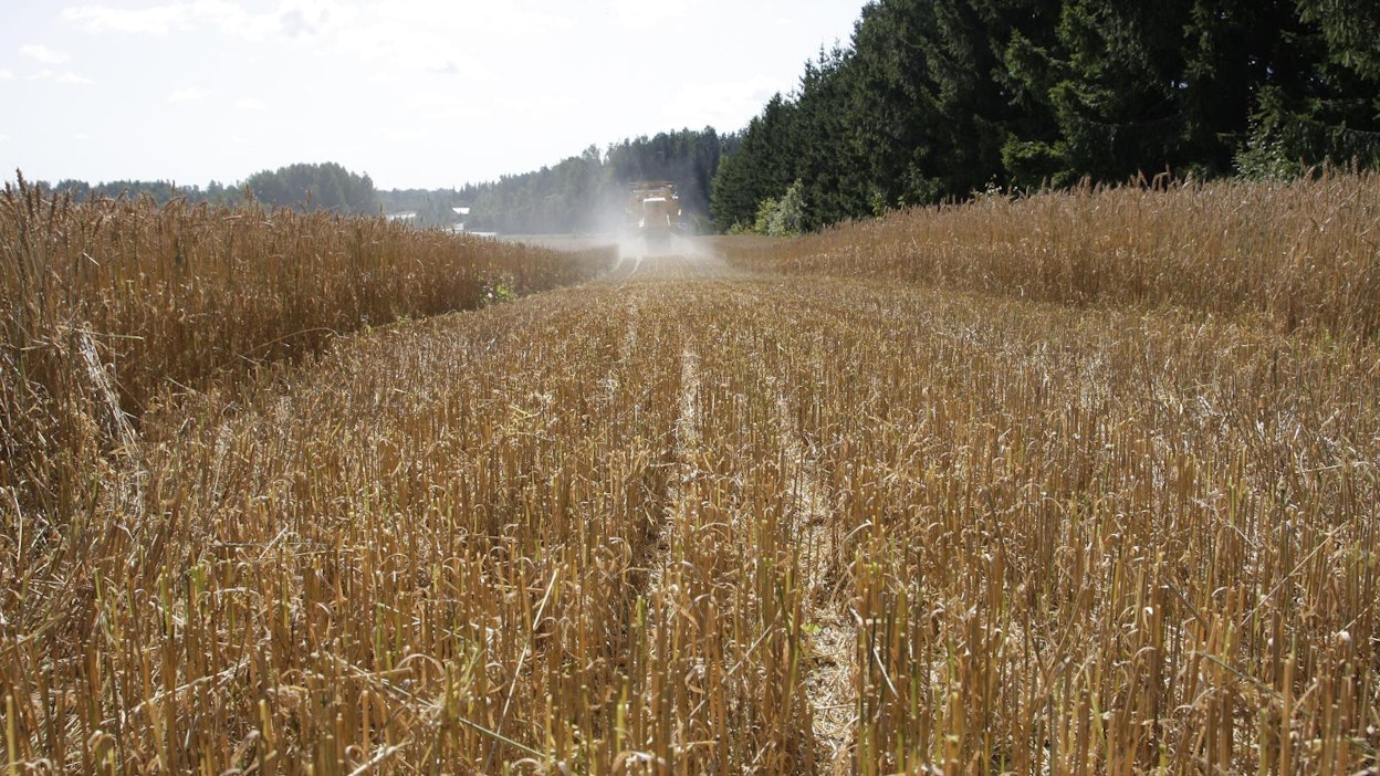 Sängen poltto on ollut Suomessa vähäistä.