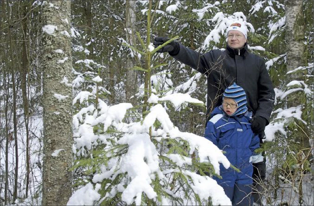 Metsänomistaja Risto Lauhanen varoittelee Suomea hiilen-mustasta energiapolitiikasta. Risto ja Johan Lauhanen poikkesivat katsastamassa kotitalonsa viereisestä metsäpalstaa Ylistarossa. Timo Aalto