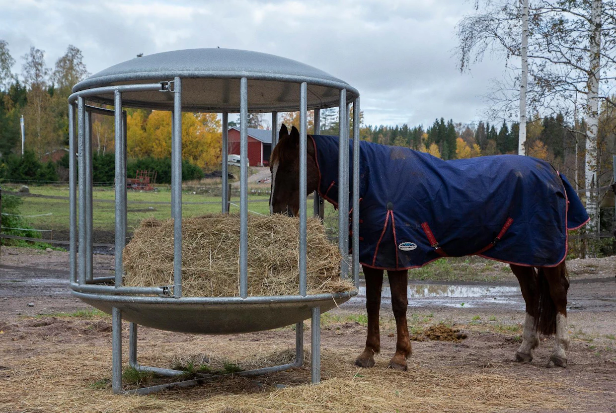 Aktiivitallilla Porvoossa hevoset saavat heinää automaattiruokkijan avulla kahdeksan kertaa päivässä. Sopiva määrä olisi hevossairauksien erikoiseläinlääkäri Kati Niinistön mukaan antaa karkearehua päivittäin vähintään kolmesta neljään kertaa. PR-tallin käytäntö kuulostaa hänen korviinsa hyvältä ratkaisulta. toim.huom: kuvassa ei ole automaattiruokkija, vaan vapaan heinäruokinnan alue.
