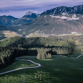 Alpeistaan tunnettu Itävalta on Euroopan metsäisimpiä maita.