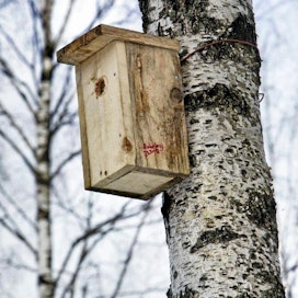 BirdLife Suomen Pönttöbongaus -tapahtuman laskennan perusteella 52 prosenttia linnunpöntöistä on asuttuja.