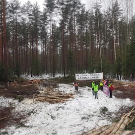 Luonto-Liiton metsäryhmä ja Elokapinan Metsäkapina vaativat, että Helsingin kaupunki luopuu metsiä uhkaavista rakentamissuunnitelmista ja lopettaa metsiin kaavoittamisen kokonaan.