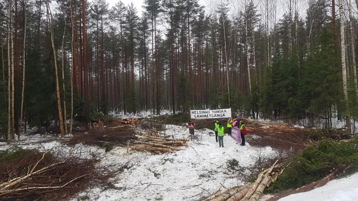 Luonto-Liiton metsäryhmä ja Elokapinan Metsäkapina vaativat, että Helsingin kaupunki luopuu metsiä uhkaavista rakentamissuunnitelmista ja lopettaa metsiin kaavoittamisen kokonaan.